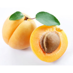 Photo of apricot