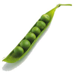 Photo of peas