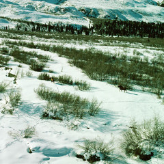 Photo of winter