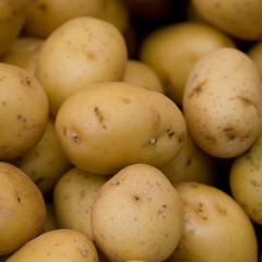 Photo of potato