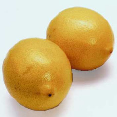 Photo of lemon