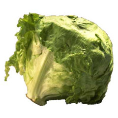 Photo of lettuce