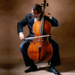 Photo of cello