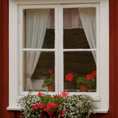 Photo of window