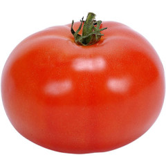 Photo of tomato