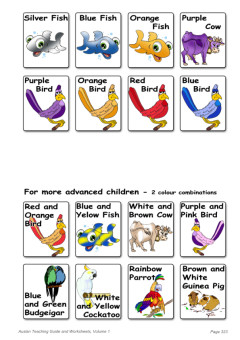 Cover image for Coloured Animal Cards