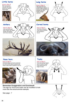 Sample image for Understanding Descriptors In Auslan