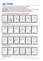 Cover image for Emotion Sign Family Groups worksheet