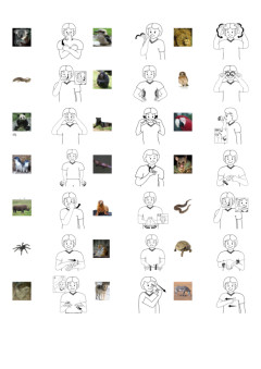 Cover image for Zoo Animal Photo reference