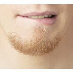 Photo of beard