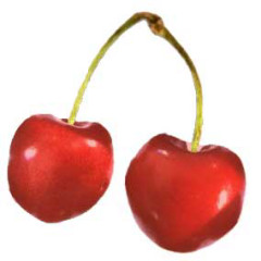 Photo of cherry
