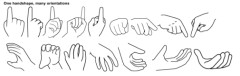 Cover image for Handshape Orientation Examples