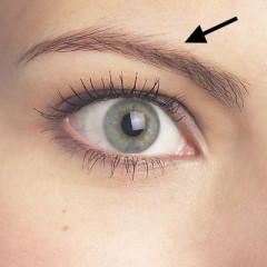 Photo of eyebrow