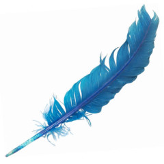 Photo of feather