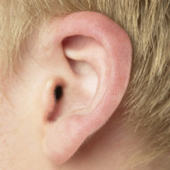Photo of ear
