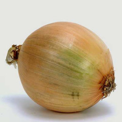 Photo of onion