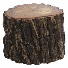 Photo of log