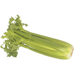Photo of celery