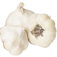 Photo of garlic