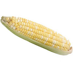 Photo of corn