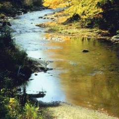 Photo of river