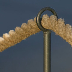 Photo of thread