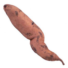 Photo of sweet potato