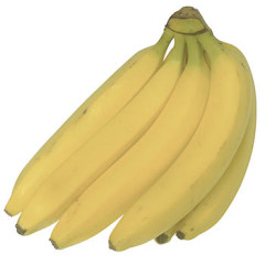 Photo of banana