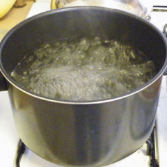 Photo of boil