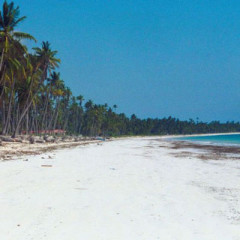 Photo of beach