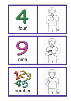 Cover image for Number Flashcards