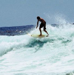 Photo of surf