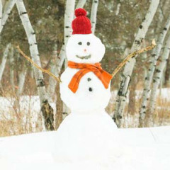 Photo of snowman