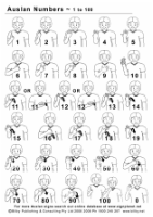 Cover image for Auslan Numbers