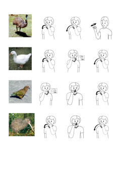 Cover image for Bird Radical Circle It worksheet