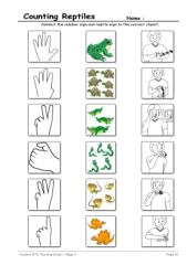 Resource Match Up - Counting Reptiles