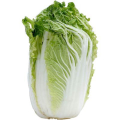 Photo of cabbage