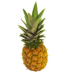 Photo of pineapple