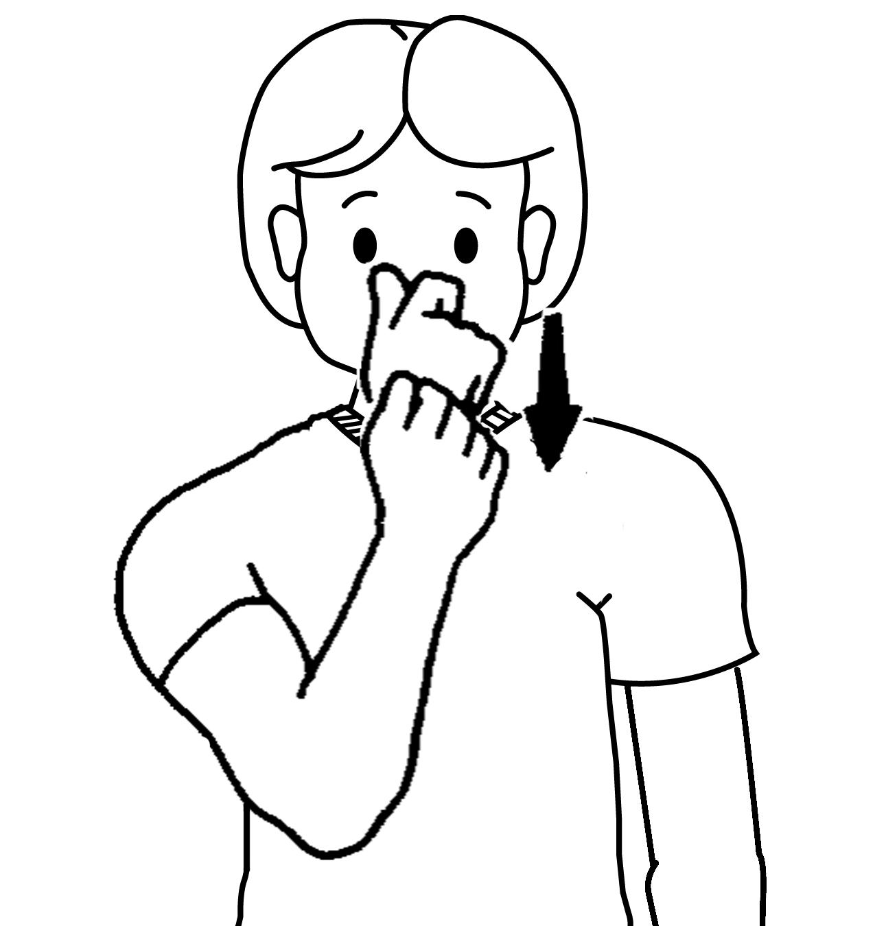 Sign Language For Tissues Mochineko Hachiware BOX Tissue Case